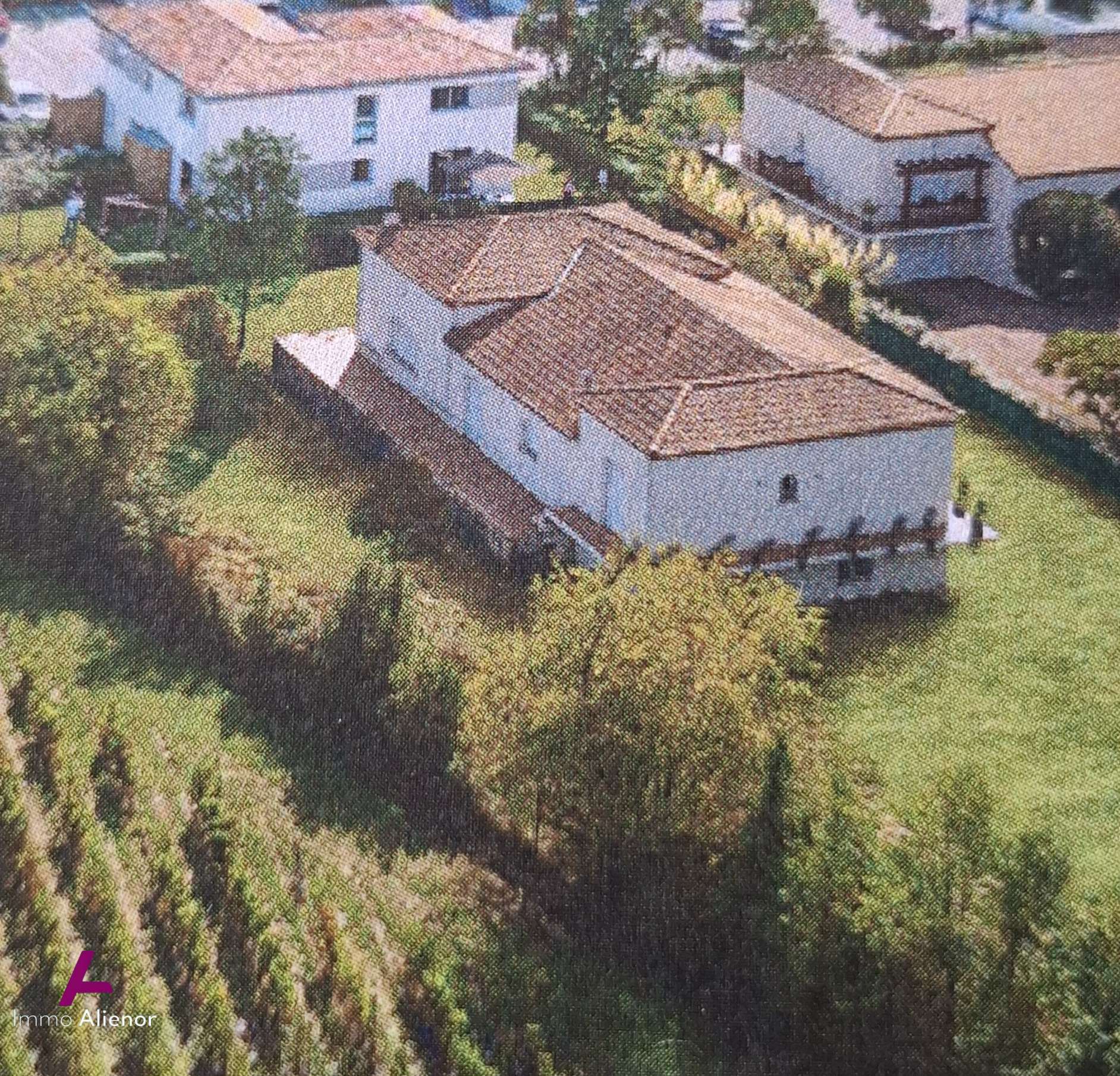 Agence immobilière de IMMO ALIENOR