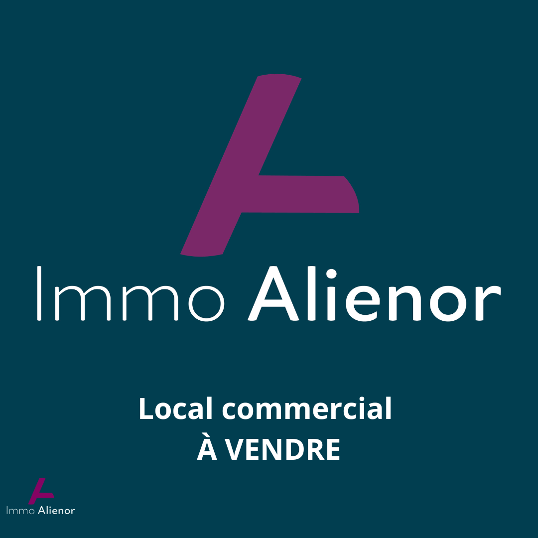 Agence immobilière de IMMO ALIENOR