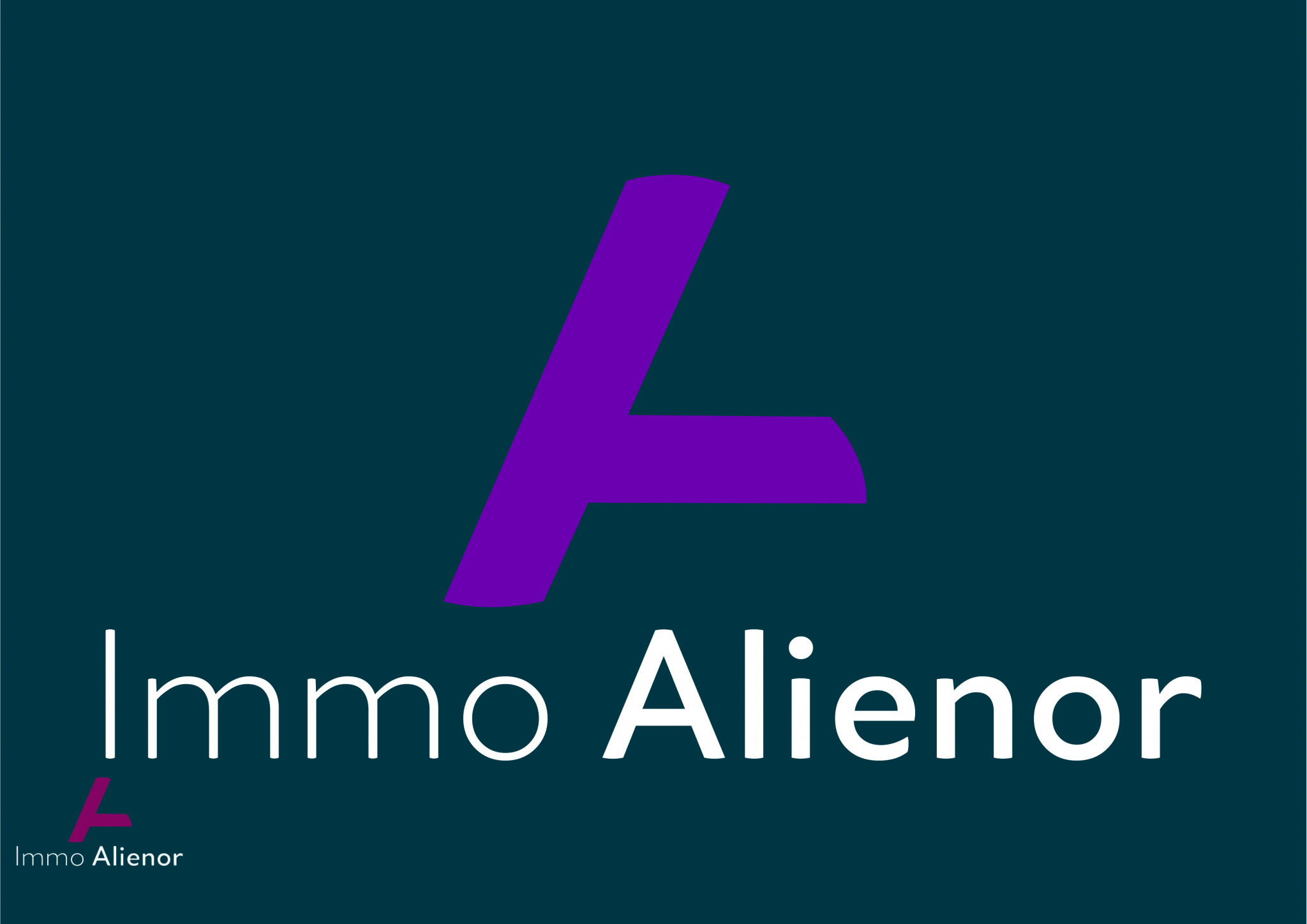 Agence immobilière de IMMO ALIENOR